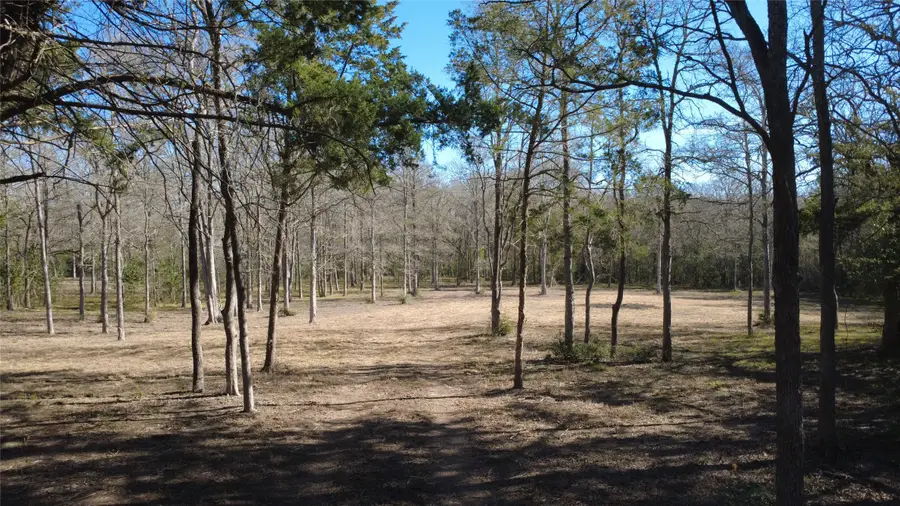 8272 Timber Bridge Lane, Chappell Hill, TX 77426 - Image #2