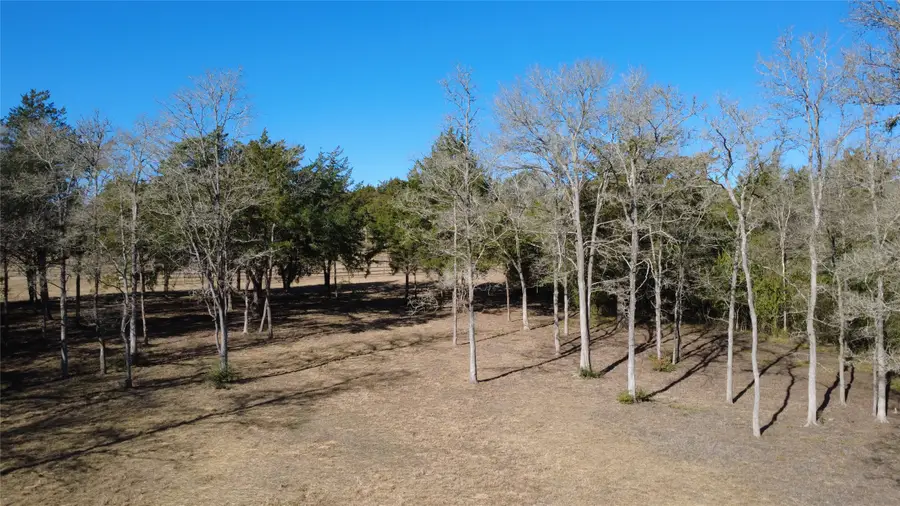 8272 Timber Bridge Lane, Chappell Hill, TX 77426 - Image #3