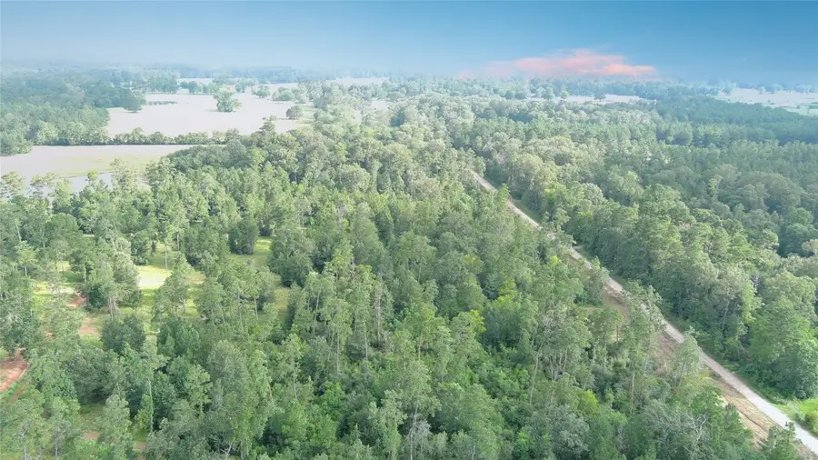 Lot 11 Gregory Lane, New Waverly, TX 77358 - #3