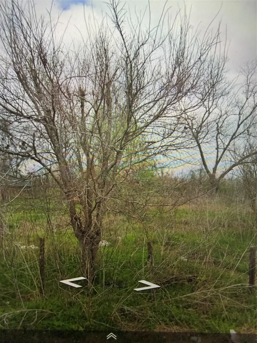 3221 Blackshear Street, Wharton, TX 77488 - Image #2