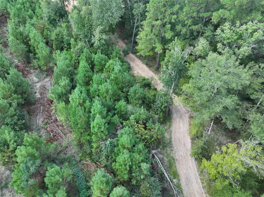 01 Bracewell Cemetery Road, Livingston, TX 77351 - #2