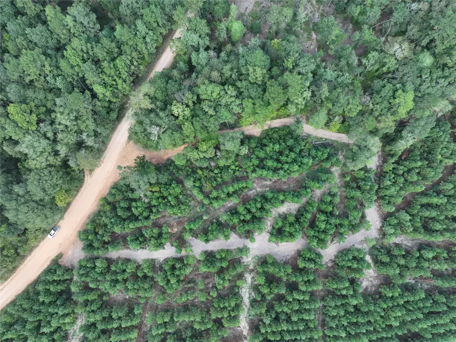 01 Bracewell Cemetery Road, Livingston, TX 77351 - #3