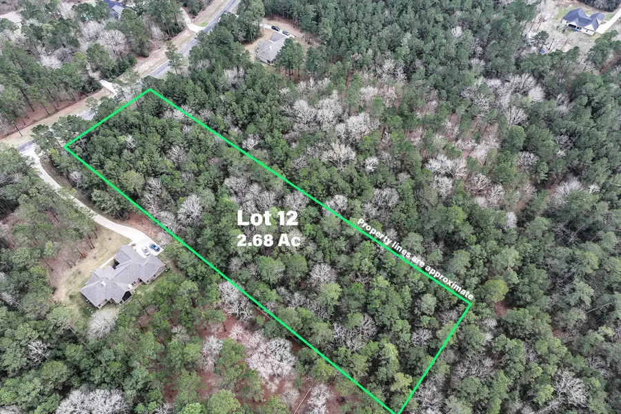 Lot 12 Chisholm Trail, Huntsville, TX 77340 - #2