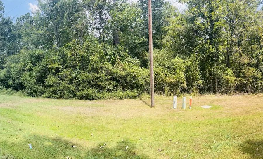 TBD Mistletoe, Onalaska, TX 77360 - Image #2