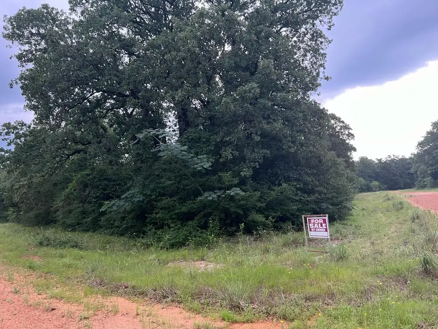 1 Denton Lane, Normangee, TX 77871 - Image #3