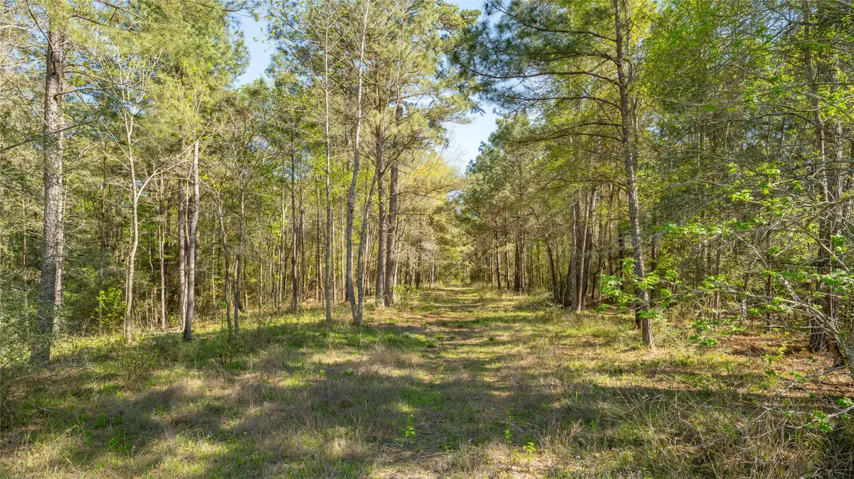 000 Bighorn Road, New Waverly, TX 77358 - Image #1