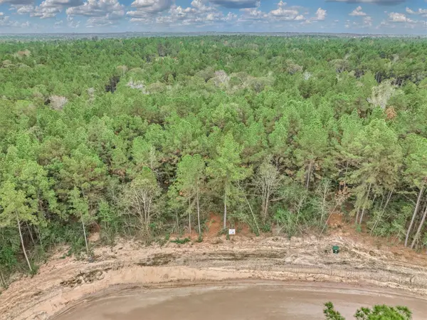25017 Chisos Bend, Montgomery, TX 77316