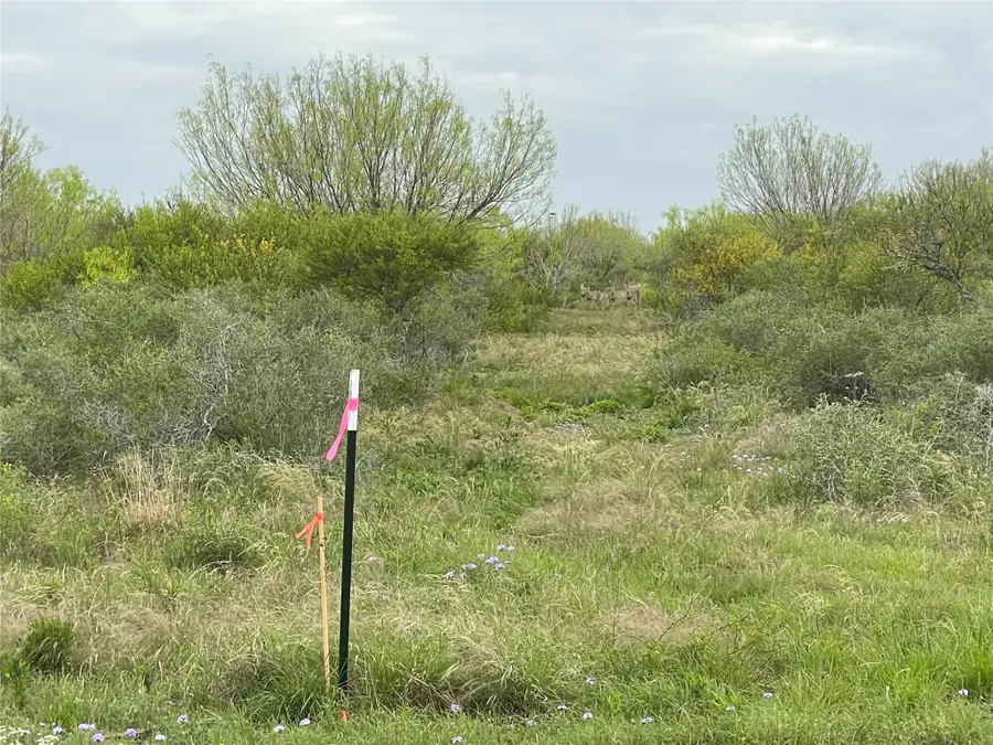 Lot 5 Pr Frio Estates Drive, Moore, TX 78057 - #3
