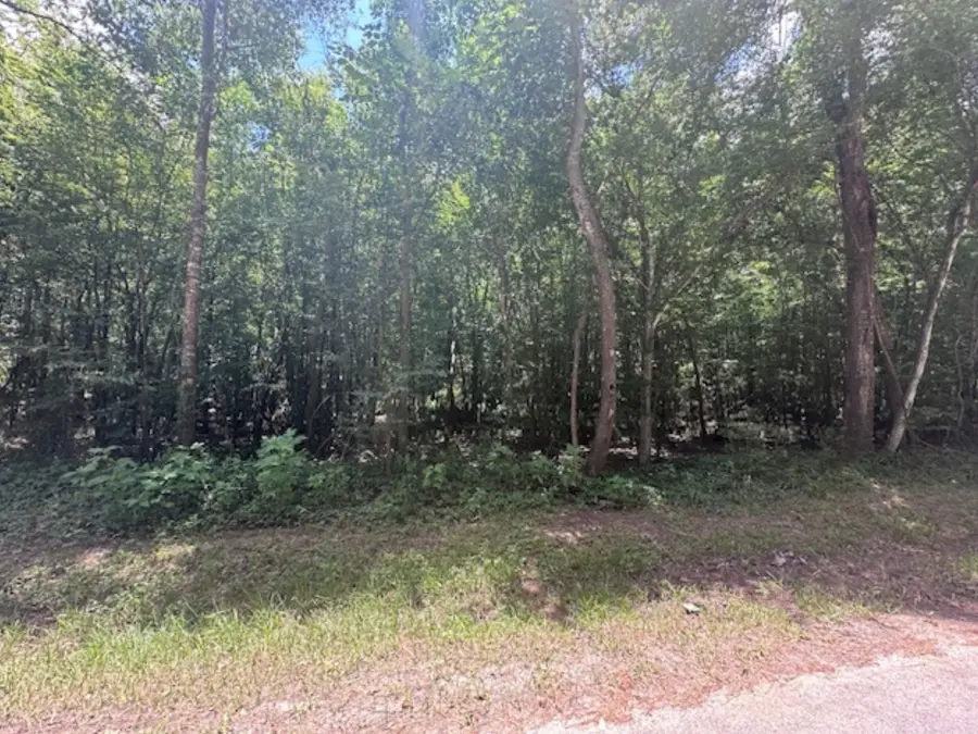 00 Fm-2090, Splendora, TX 77372 - Image #2