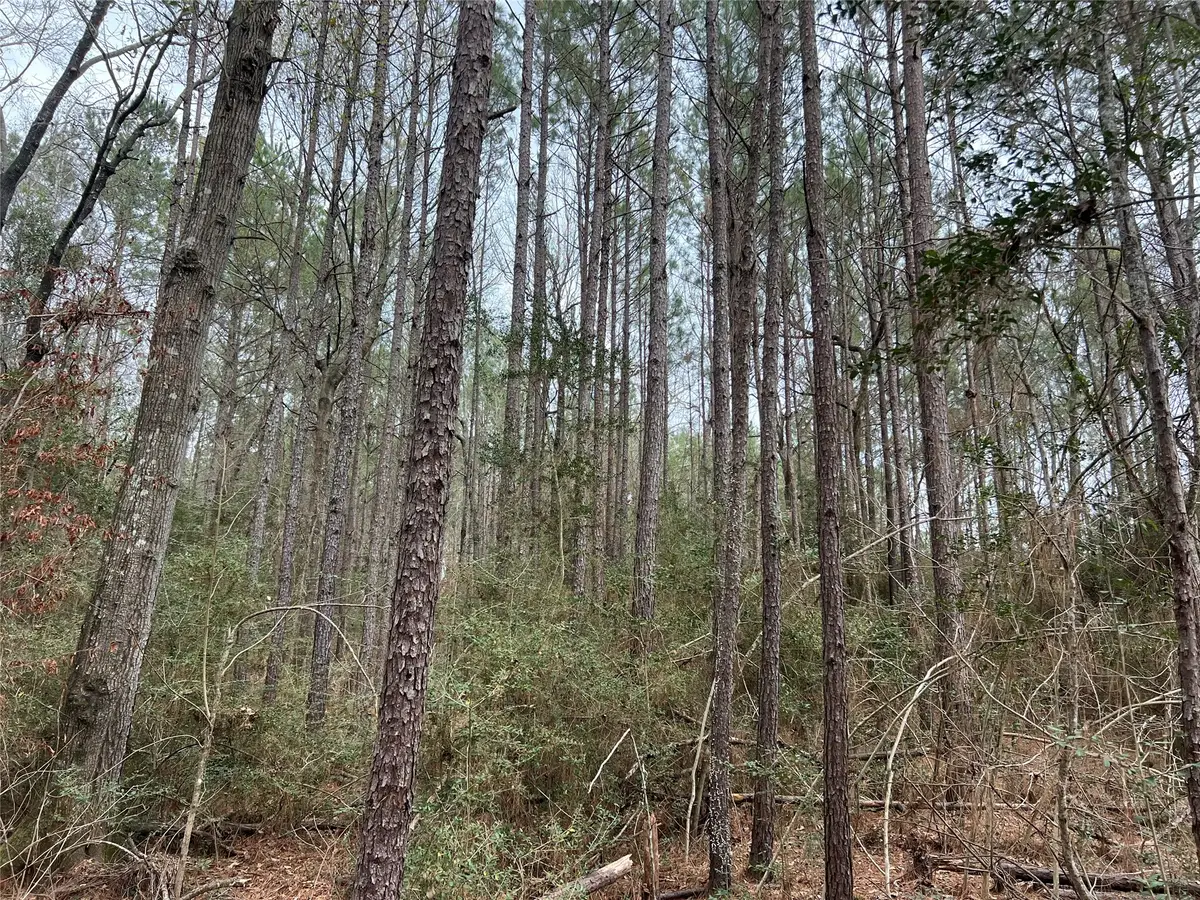 TBD Baxter Road, Livingston, TX 77351 - #1