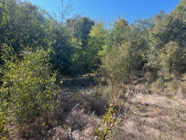 TBD Fm 71 East, Talco, TX 75487 - Image #3