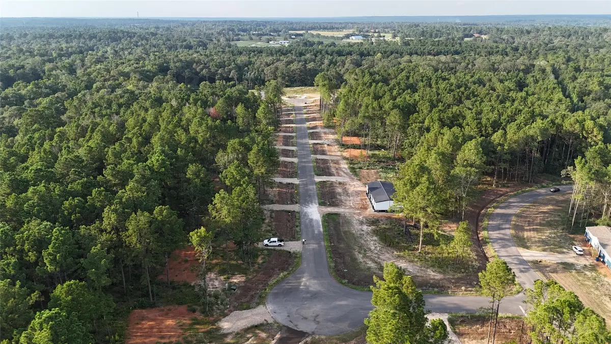 11351 Annie Creek Drive, Willis, TX 77378 - Image #1