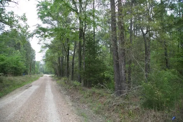 258 Hearne Road, Corrigan, TX 75939