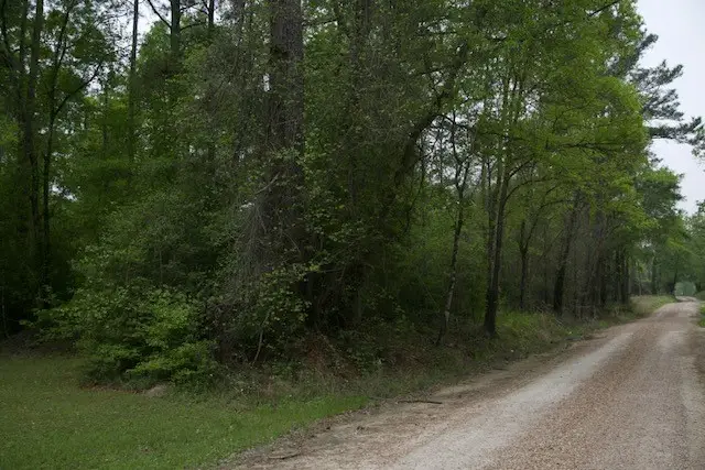 258 Hearne Road, Corrigan, TX 75939 - #2