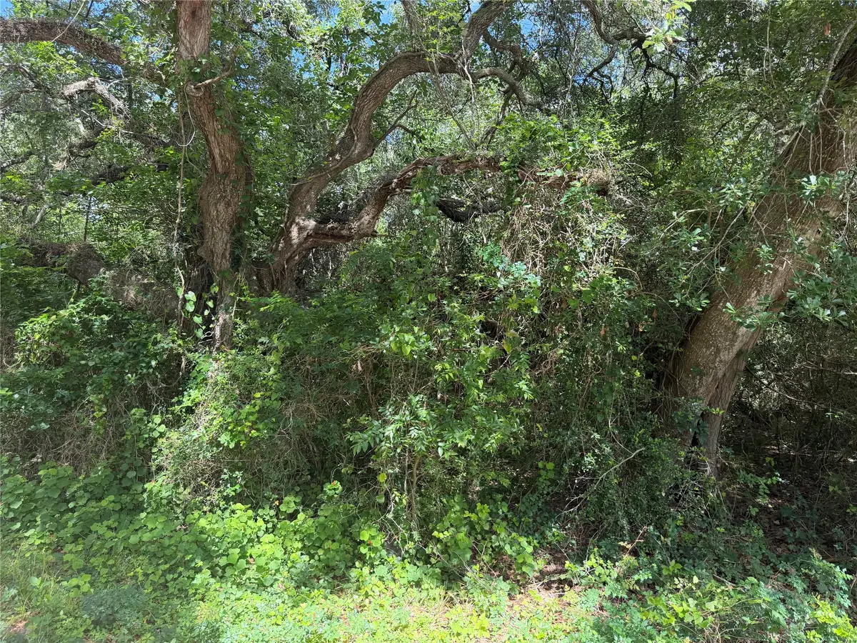 LOT 529 Grand Oak Street, Palacios, TX 77465 - #1