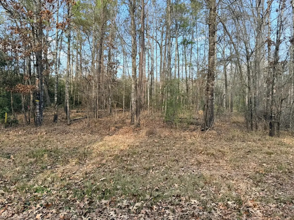 TBD Indian Oaks, Livingston, TX 77351 - Image #1