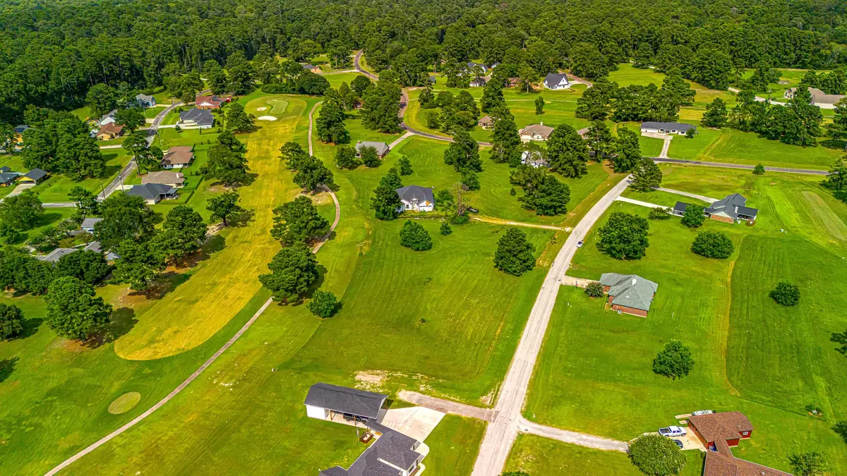 81 Meadowview Drive, Trinity, TX 75862 - #1