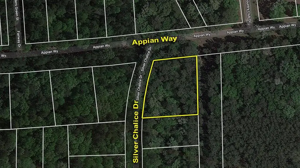 Lot 61 Appian Way, New Caney, TX 77357 - Image #1