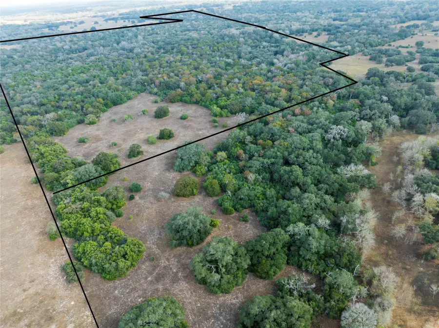 TBD County Road 12, Hallettsville, TX 77964 - #2