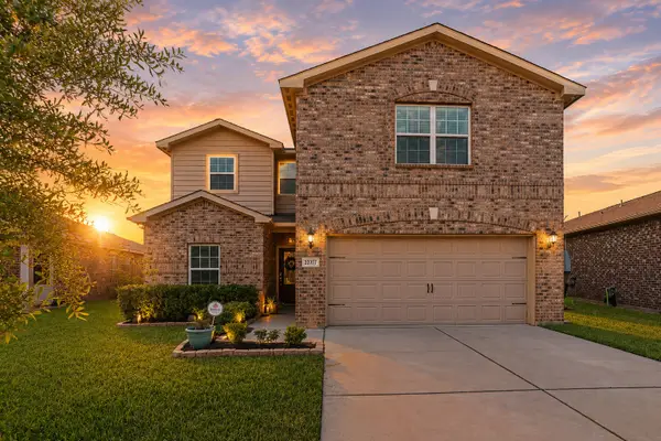 20707 Solstice Point Drive, Hockley, TX 77447