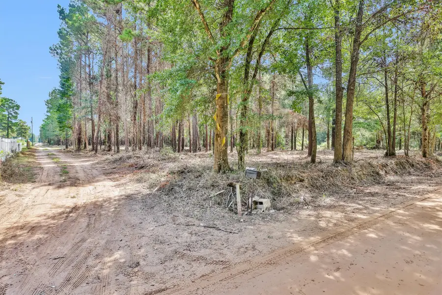 1001 County Line Road, Shepherd, TX 77371 - Image #2