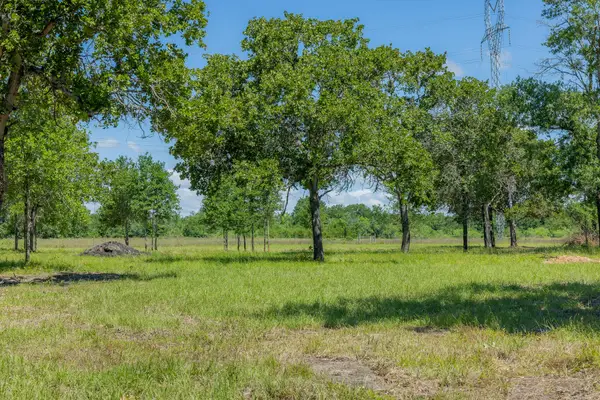 6593 Atakapan Trail, Bedias, TX 77831