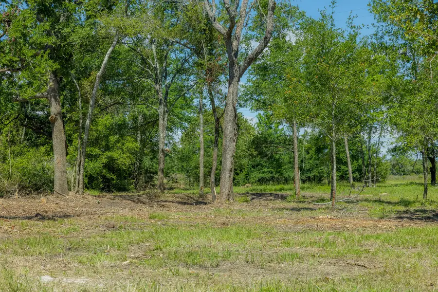 6593 Atakapan Trail, Bedias, TX 77831 - #3