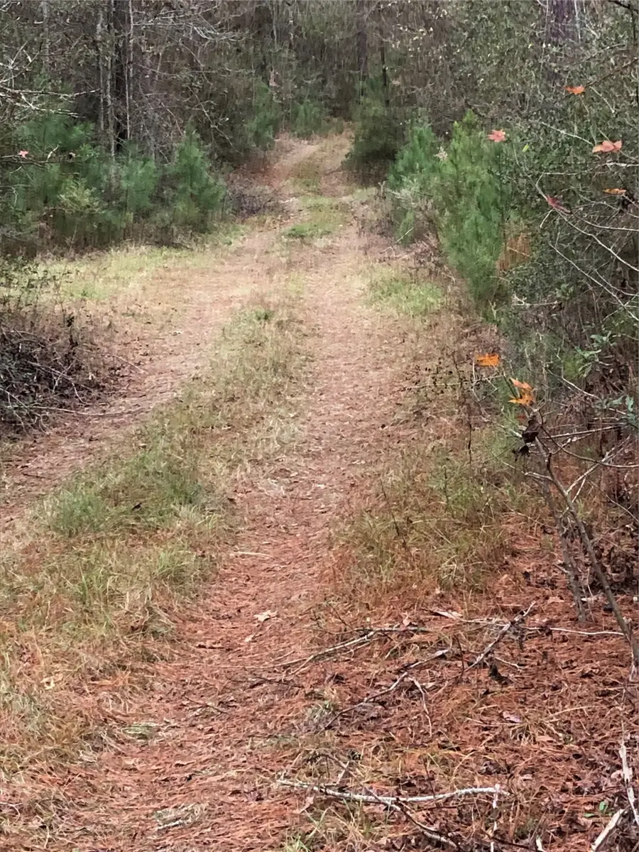 0000 Cr 4020, Crockett, TX 75835 - Image #3