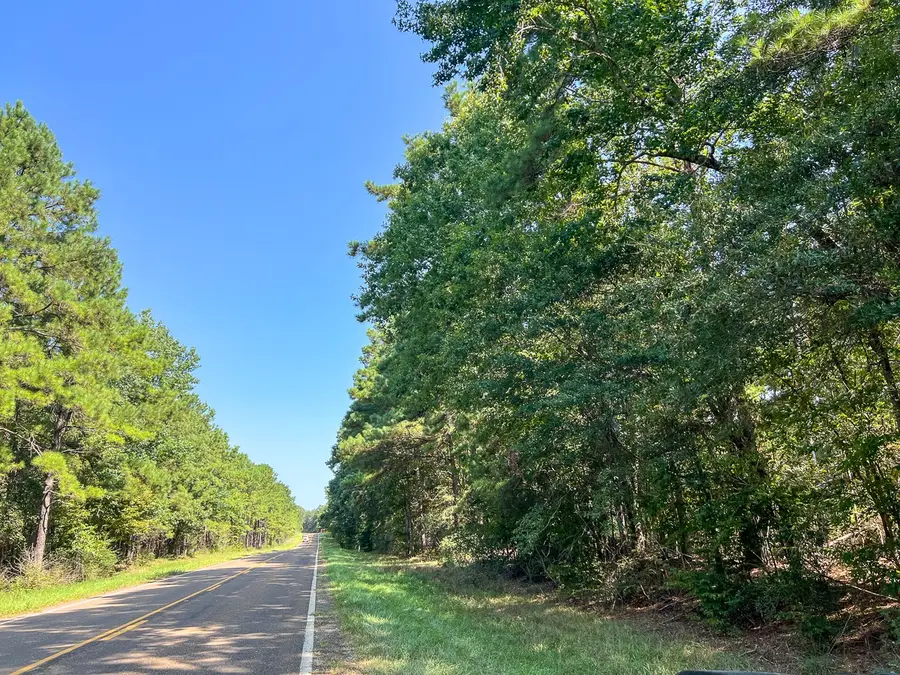 T-5 Fm 256, Woodville, TX 75979 - #3