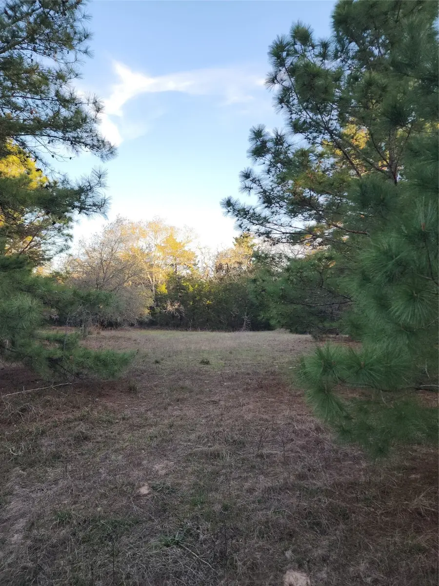 TBD Fm 3283, Hallettsville, TX 77964 - Image #2