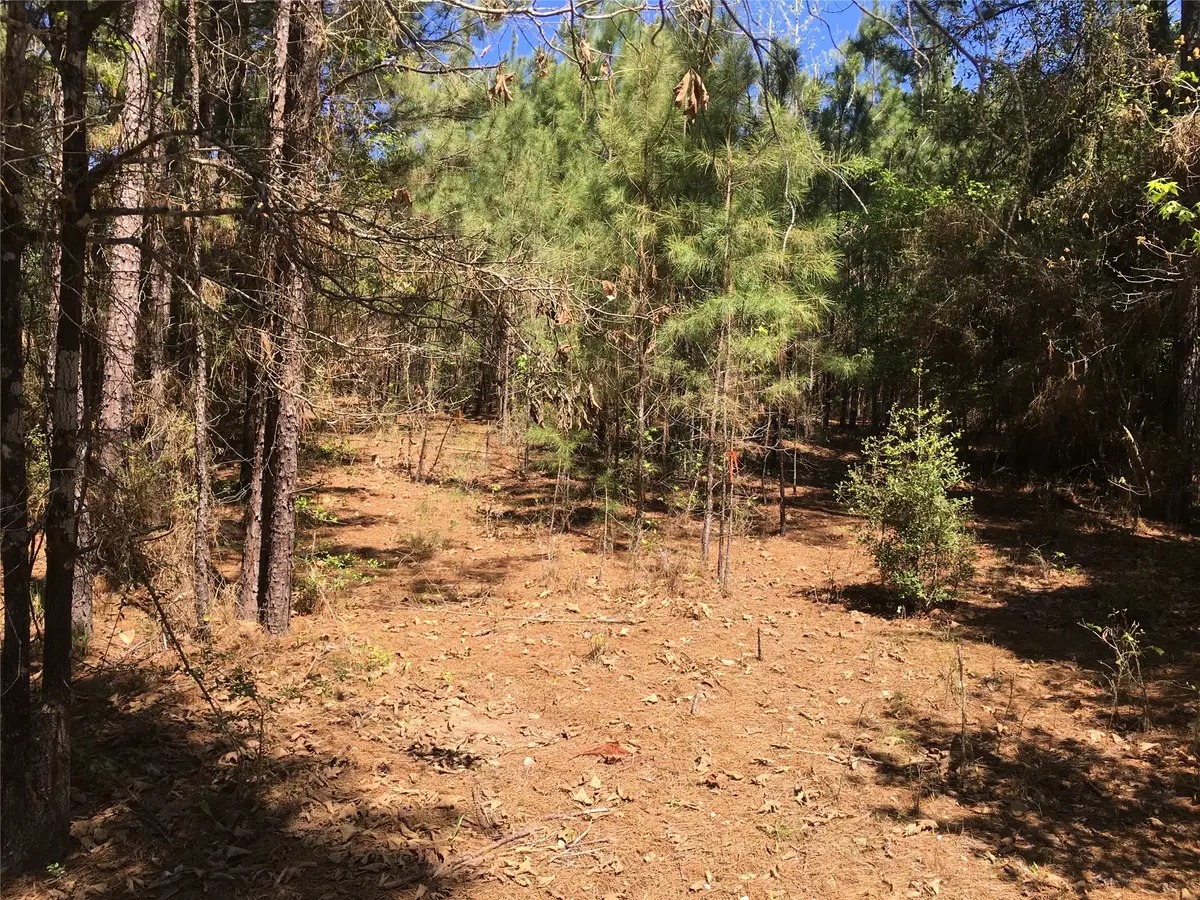 0 E Marion Ab 720 18 22 Ac, Kennard, TX 75847 - #1