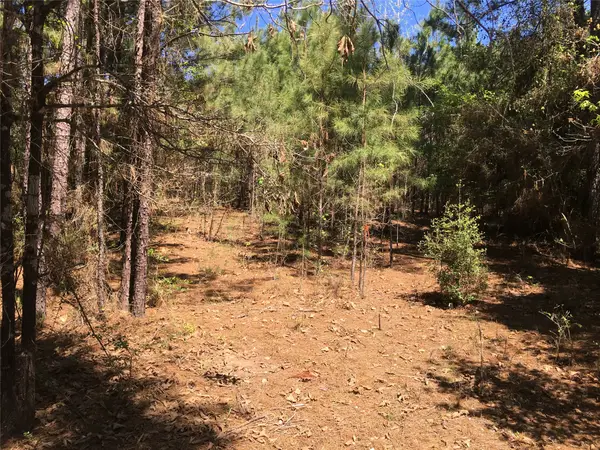 0 E Marion Ab 720 18 22 Ac, Kennard, TX 75847