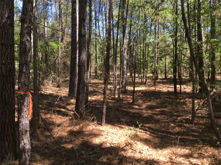 0 E Marion Ab 720 18 22 Ac, Kennard, TX 75847 - #2