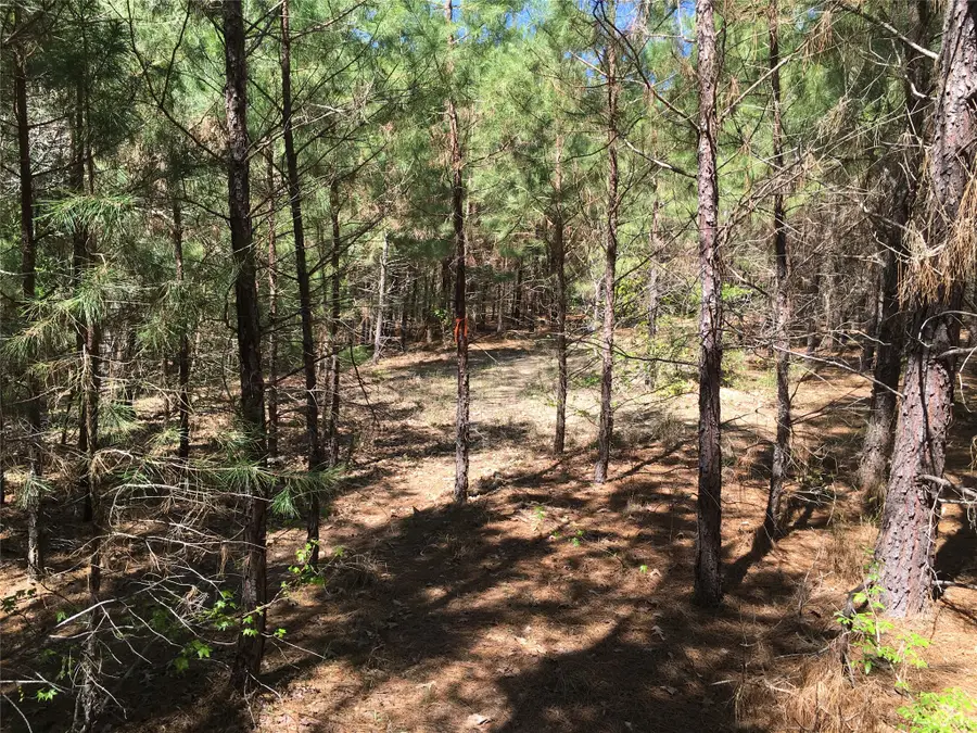 0 E Marion Ab 720 18 22 Ac, Kennard, TX 75847 - #3