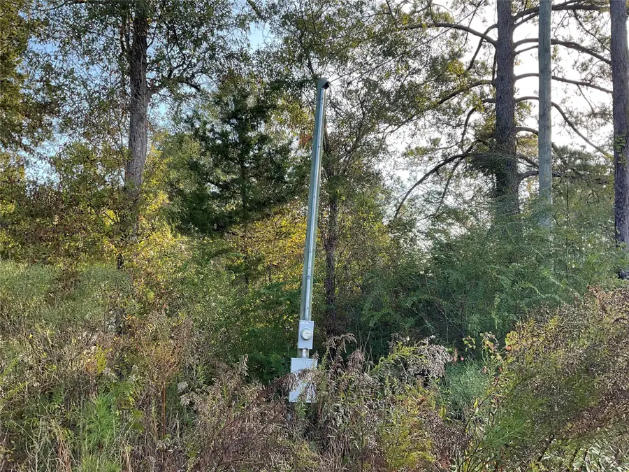 319 County Road 4050, Woodville, TX 75979 - Image #3