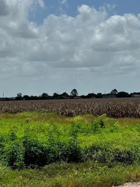 5225 Fenske Lane, Needville, TX 77461 - Image #2