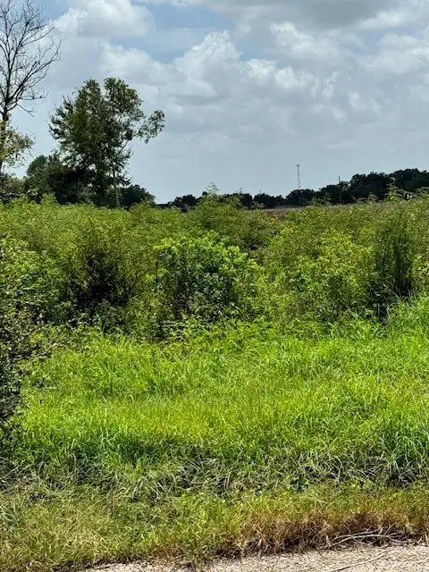 5225 Fenske Lane, Needville, TX 77461 - Image #3