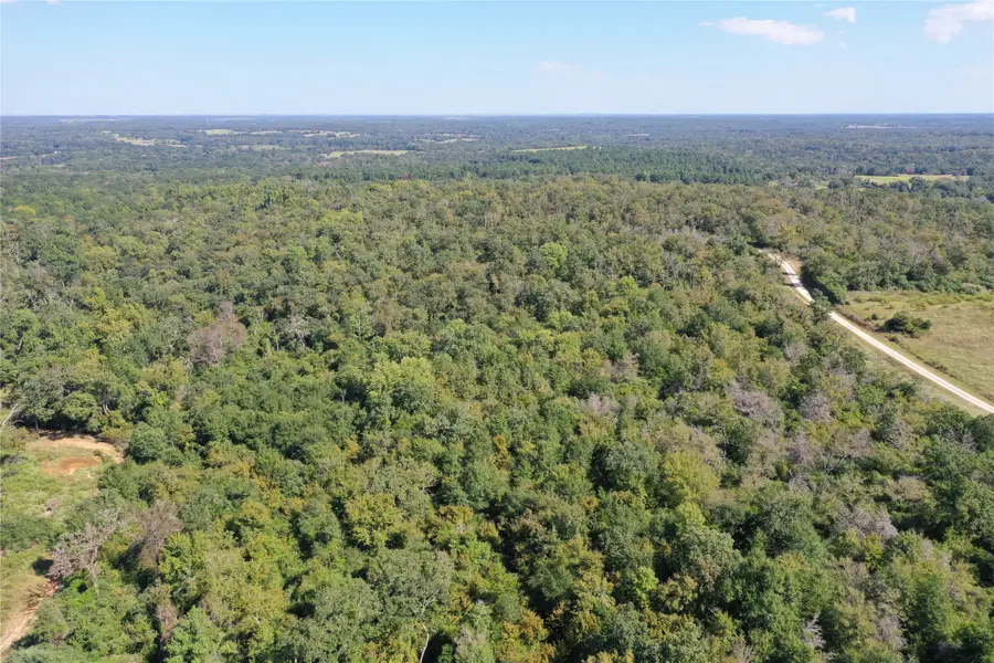 TBD 1 Cr 322, Jewett, TX 75846 - Image #3