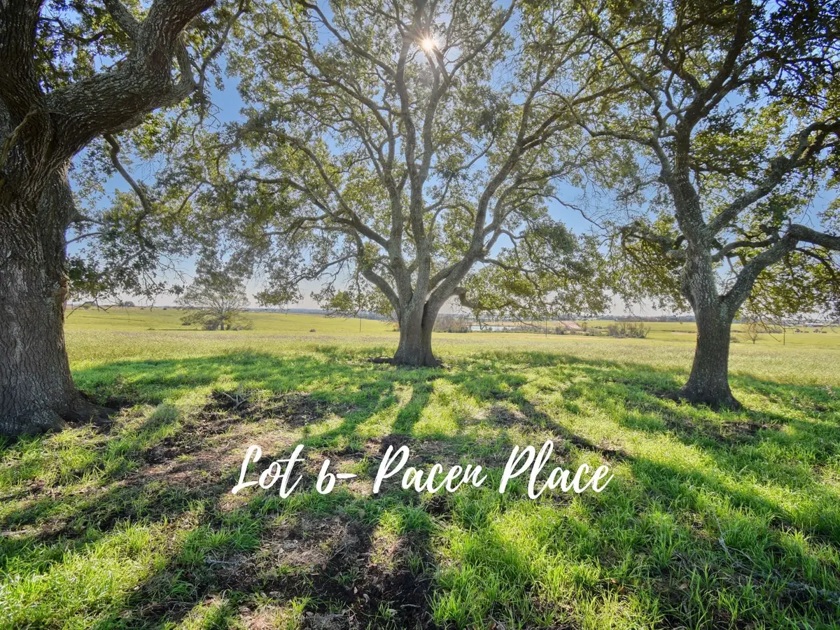 TBD 6 Pacen Place, Chappell Hill, TX 77426 - Image #1