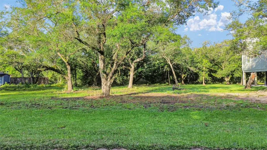 6318 Tercero, Brazoria, TX 77422 - #3