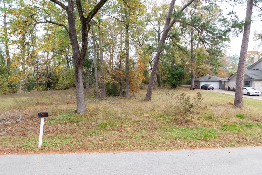 24510 Pine Canyon Dr, Spring, TX 77380 - Image #2