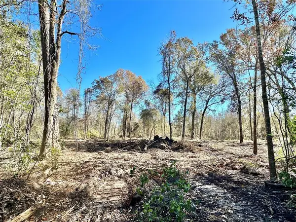 2500 China Rd N, China, TX 77713