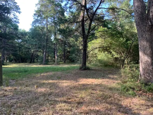 0000 Kickapoo Road, Hockley, TX 77447