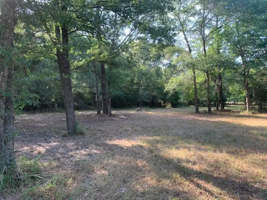 0000 Kickapoo Road, Hockley, TX 77447 - Image #3