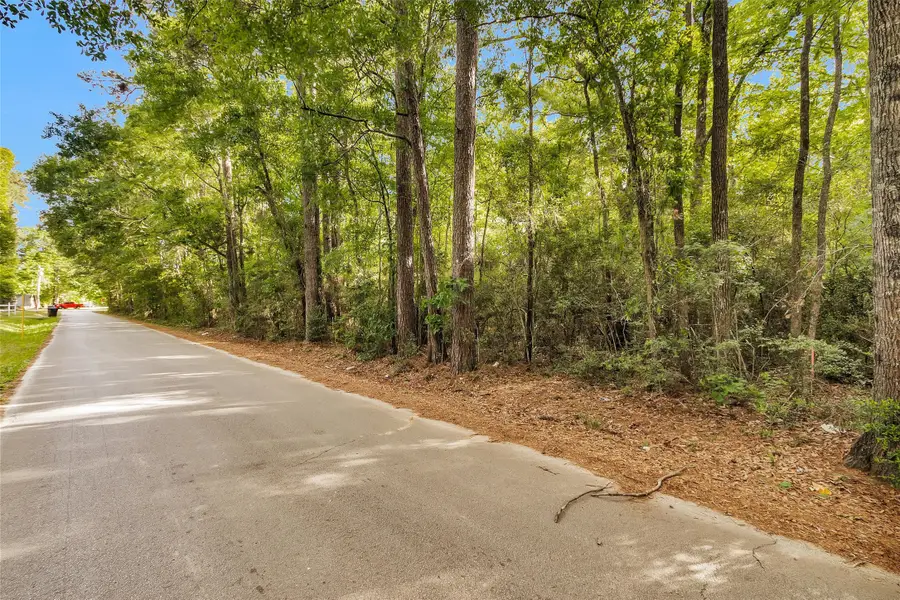 15700 Ben Wiggins, Conroe, TX 77303 - #3