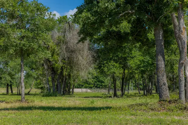 6705 Atakapan Trail, Bedias, TX 77831