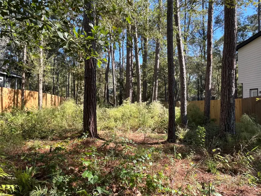 15760 Aspen Drive, Montgomery, TX 77356 - Image #3