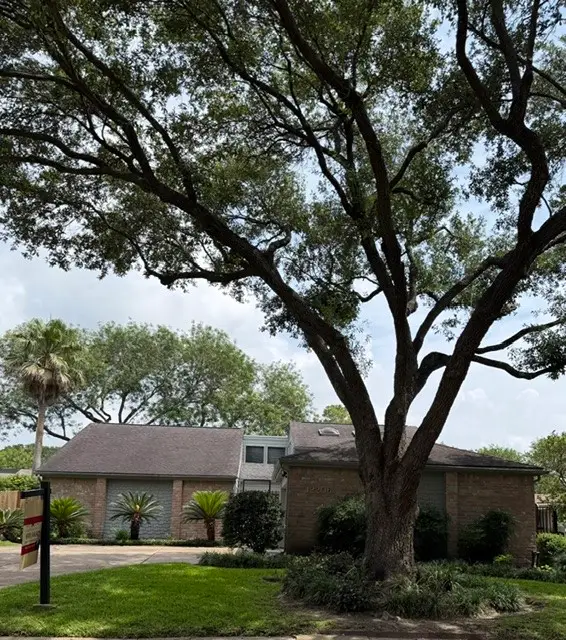12206 Burgoyne Drive, Houston, TX 77077 - #3