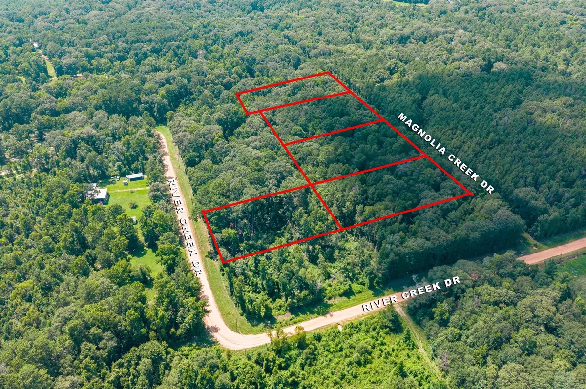 0 TBD Magnolia Creek Dr, Cleveland, TX 77328 - #1