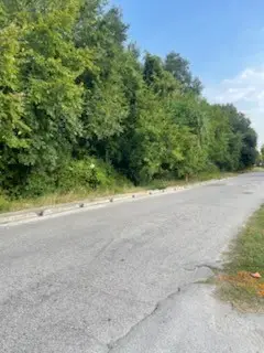 8406 Carver Road, Houston, TX 77088 - Image #3